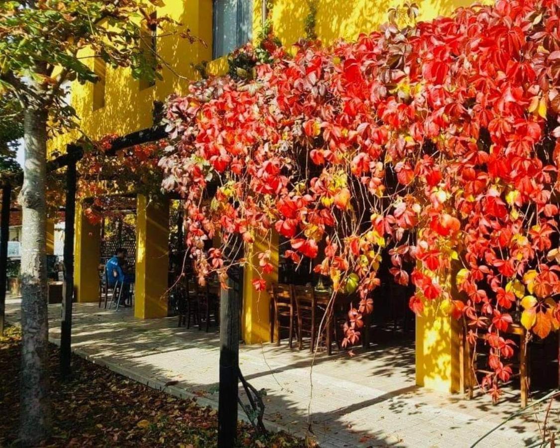 Cascina Bosco Gerolo Βίλα Rivergaro Εξωτερικό φωτογραφία