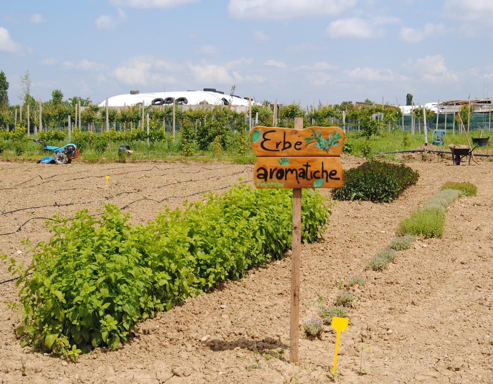 Cascina Bosco Gerolo Βίλα Rivergaro Εξωτερικό φωτογραφία